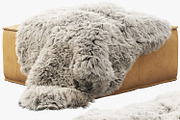 Joybird Lyle Leather Ottoman, a Furniture 3D Model by 3dmitruk (Thumbnail 1 of 30)