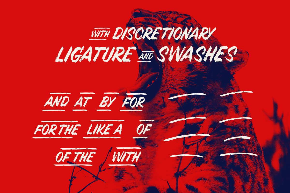 LUCHA TYPEFACE, a Script Font by maghrib (Photo 7 of 7)