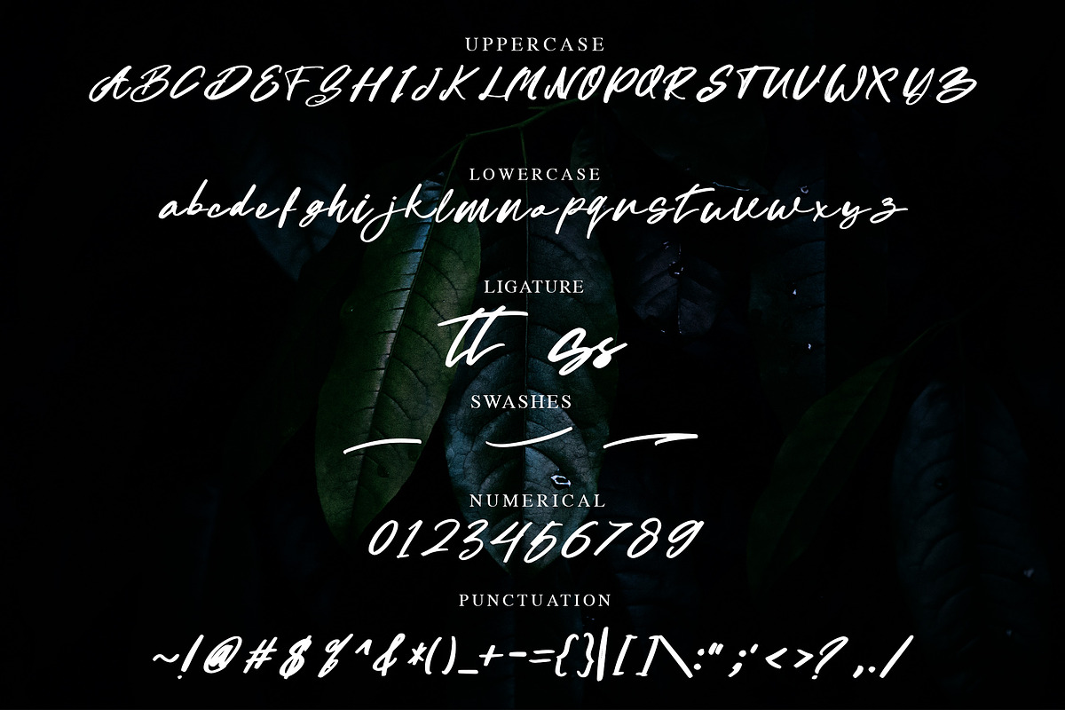 Rattania - Handwritten Script Font, a Script Font by NTC Graphic (Photo 5 of 6)