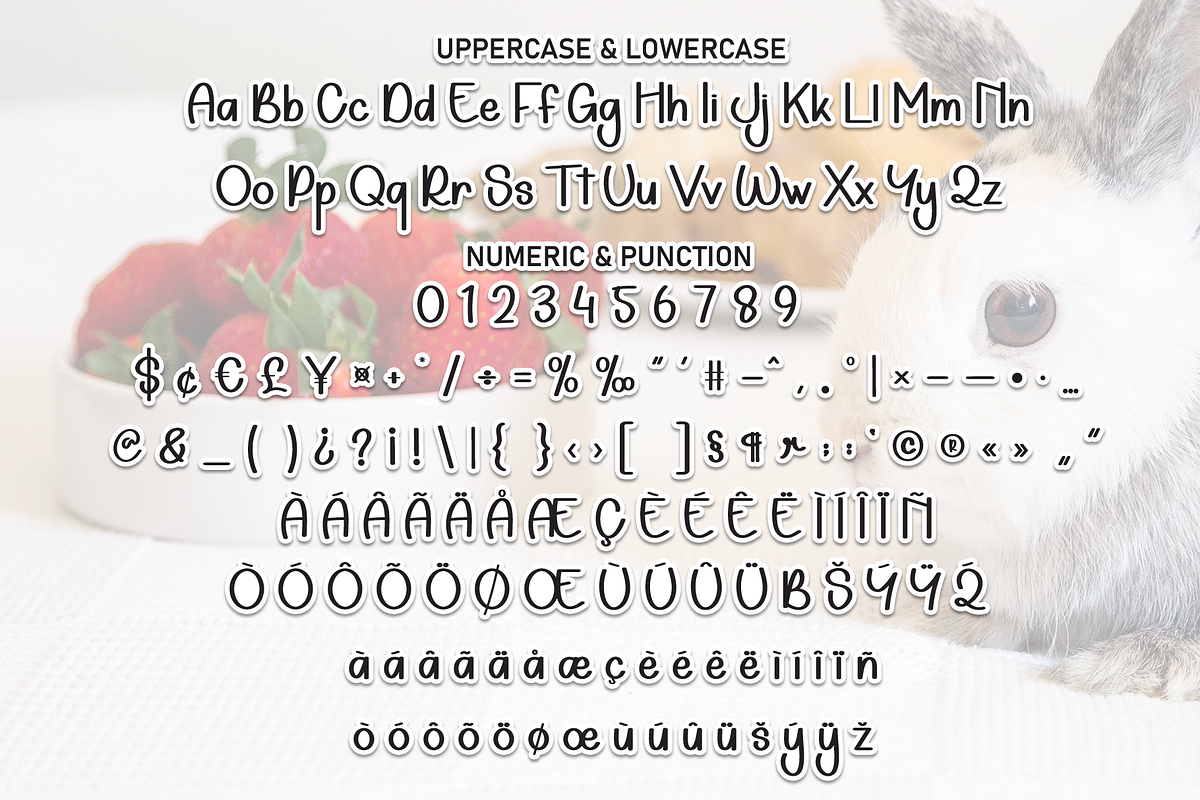 Baby Bunny | Script Font, a Handwritten Font by Scratchones (Photo 7 of 9)