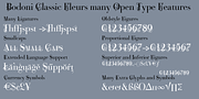 Bodoni Classic Fleurs, a Serif Font by Wiescher-Design (Thumbnail 2 of 7)