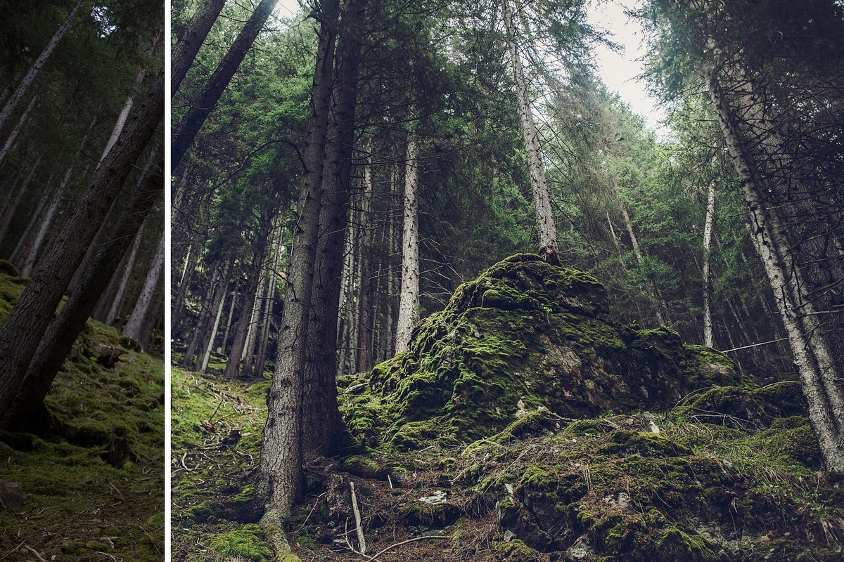 MILLION OF GREEN-Set of 20presets Lr, an Action Add-On by Graphics, Presets, Photos (Photo 17 of 21)
