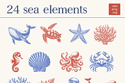 Undersea World - vector &png, an Animal Illustration by Anatartan Design (Thumbnail 2 of 13)