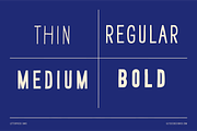 Letterpress Sans, a Sans Serif Font by Ulysses Design Co (Thumbnail 3 of 20)