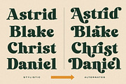 Laurens Soft Serif Display Font, a Serif Font by Letteralle Studios (Thumbnail 9 of 10)