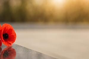 Red poppies on reflective surface symbolize Armistice Day, used, a Photo by Dvoevnore photos