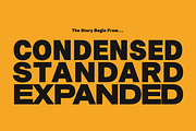 Uncmmn Nominee Sans Serif 21 Style, a Font by Kotivoro (Thumbnail 4 of 30)