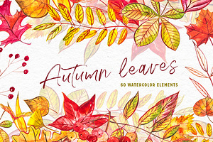 Autumn leaves
