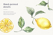 Lemons Botanical Illustrations, a Food Illustration by Tilling (Thumbnail 2 of 7)