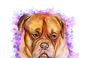Watercolor Dogs Mega Big Bundle, an Illustration by Dneprstock (Thumbnail 10 of 60)