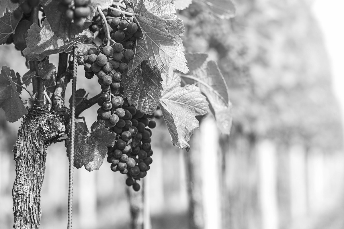 10 Black & White Landscape Drama, a Preset Add-On by Timeless Presets (Photo 11 of 11)