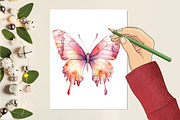 Soft Girly Butterfly Clipart, an Illustration by RobertsArt (Thumbnail 7 of 7)