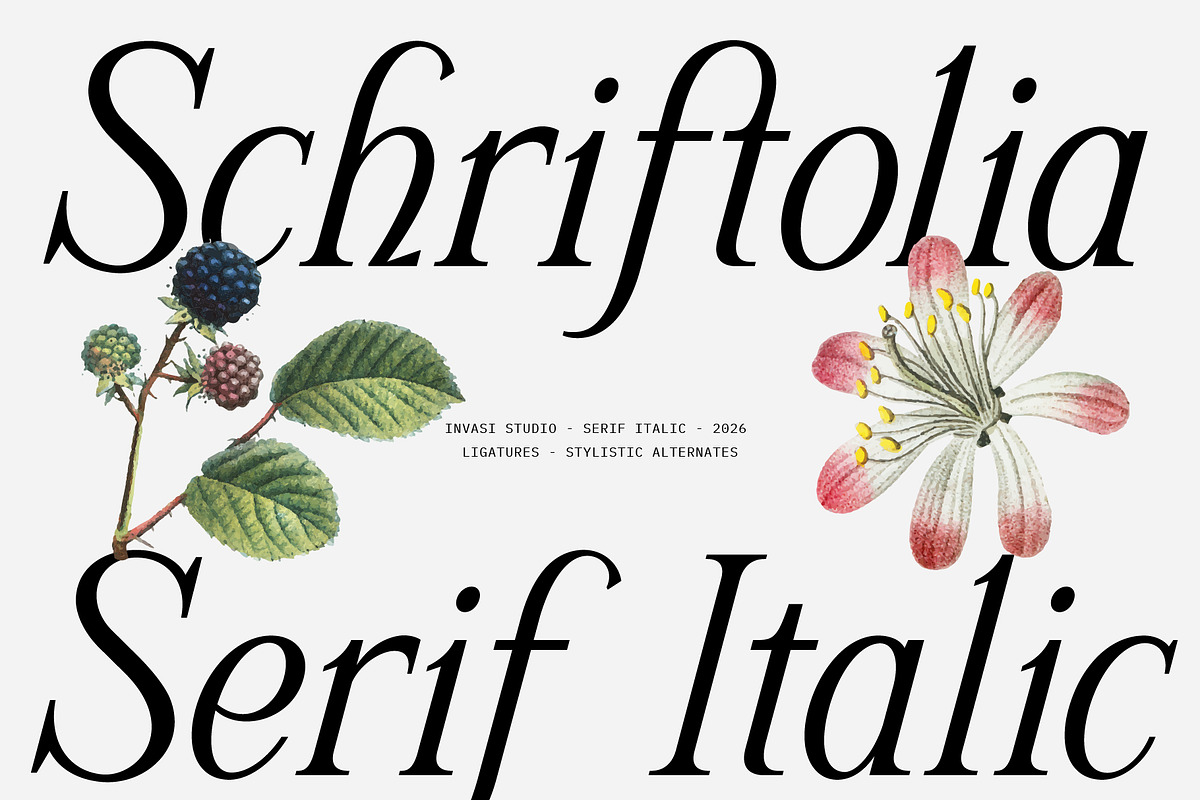 Schriftolia — Elegant Serif Italic, a Serif Font by Invasi Studio (Photo 1 of 12)