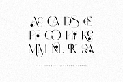 Moon Type Creative logo font, a Serif Font by VP Fonts (Thumbnail 10 of 18)