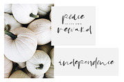 Leaf and Twig, a Script Font by Creamy Script (Thumbnail 6 of 6)
