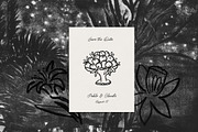 SKETCHES Line Art Drawings, a Decorative Illustration by Lana Elanor (Thumbnail 13 of 14)