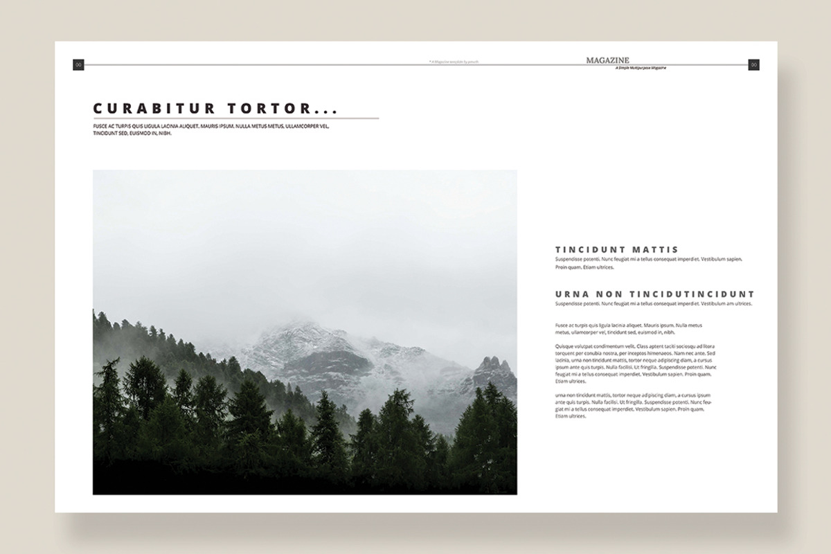 Magazine Template 11, a Magazine Template by pmvch (Photo 3 of 12)