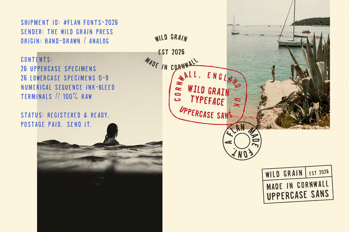 Wild Grain | A Bold Retro Stamp Sans, a Sans Serif Font by Courtney Flannagan Design (Photo 3 of 7)