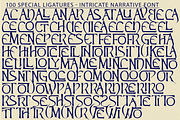INTRICATE NARRATIVE FONT, a Sans Serif Font by 177Studio (Thumbnail 7 of 8)