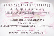 Srikonitta Script + Free Vectors, a Script Font by Aldedesign (Thumbnail 10 of 11)
