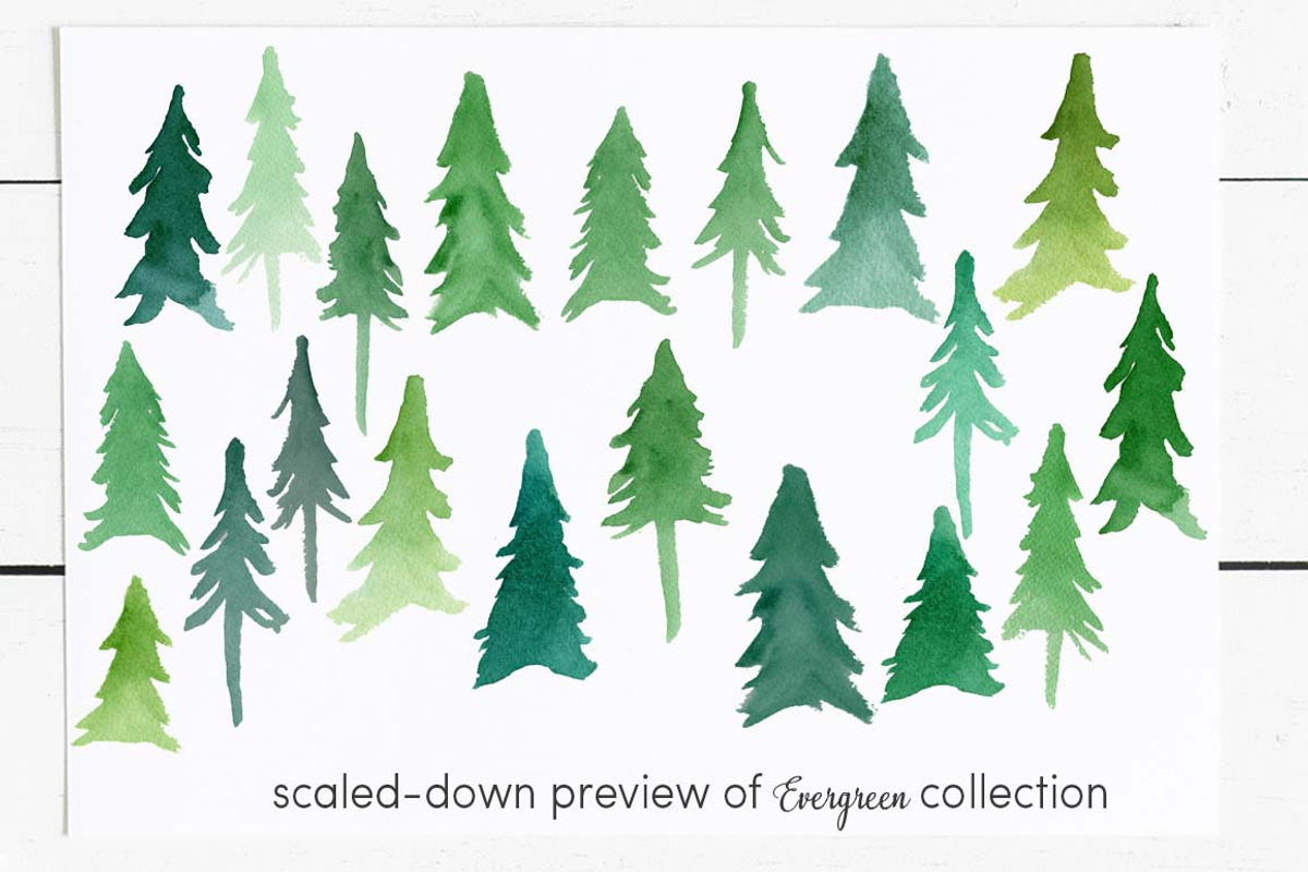 Evergreen Trees Clip Art, an Object Graphic by Chelsea Bromley (Photo 3 of 6)