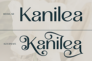 Malovi - Modern Elegant Serif, a Serif Font by Font Liner (Thumbnail 9 of 13)