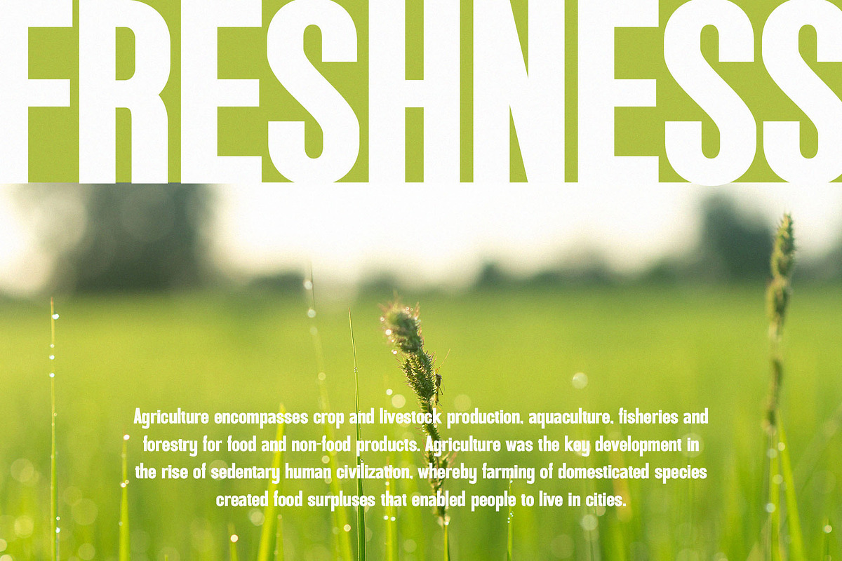 Ataria - Modern Condensed Sans, a Sans Serif Font by TypeLogue (Photo 3 of 5)