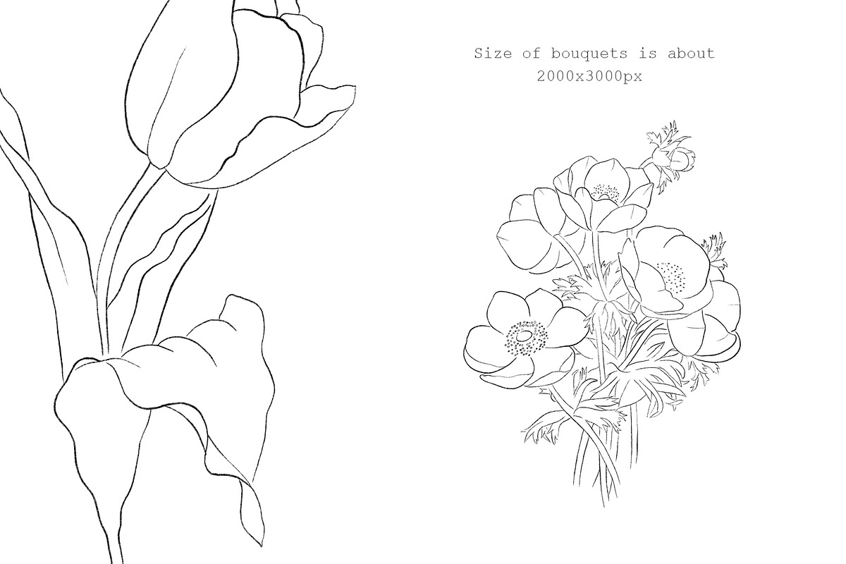 Flowers Line Arts Clipart, an Illustration by natalisart (Photo 10 of 11)