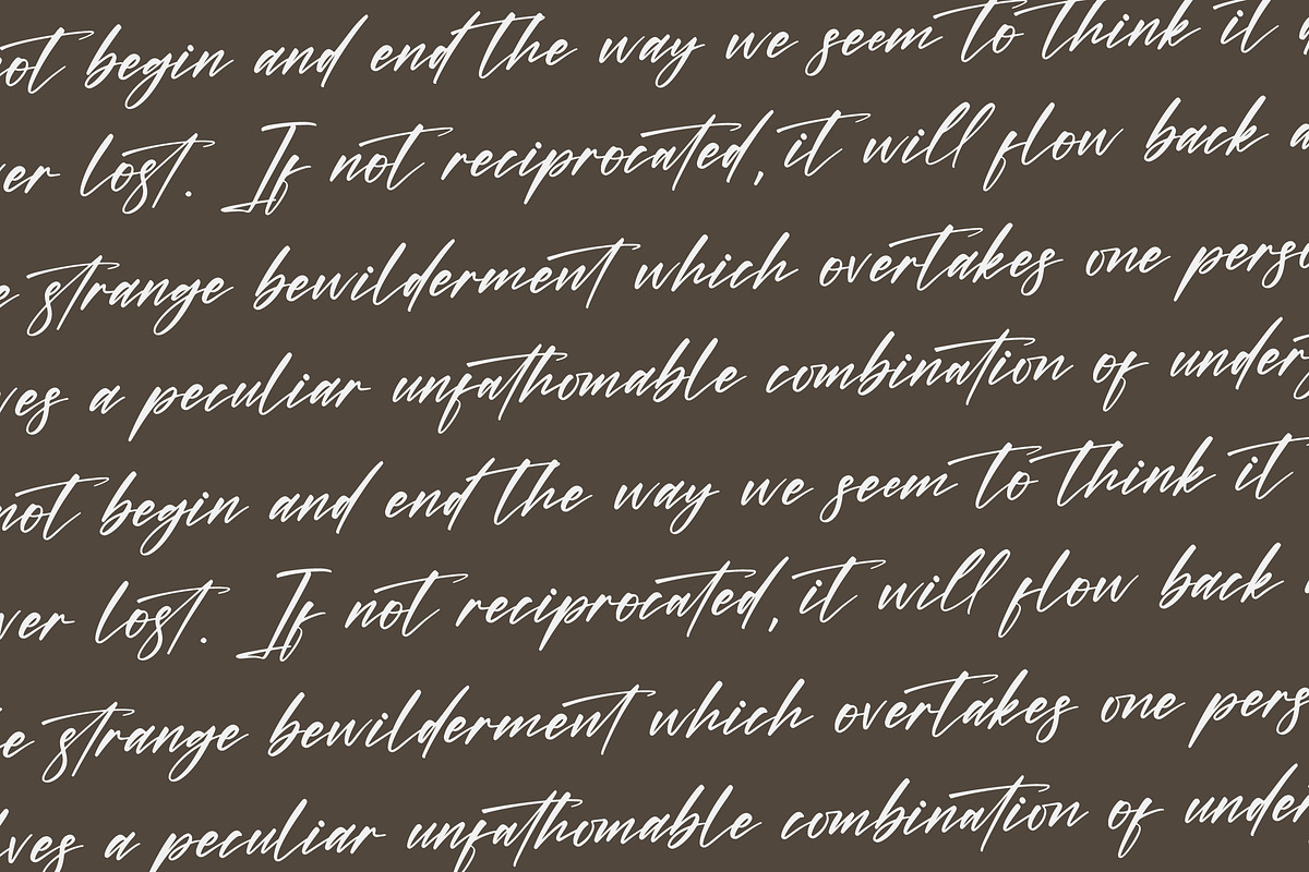 Hunterlost Modern Signature Font, a Script Font by Letterena Studios Script (Photo 8 of 15)