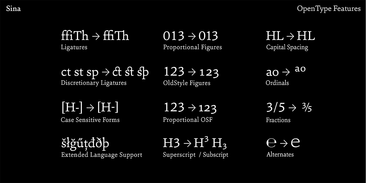 Sina, a Serif Font by Hoftype (Photo 15 of 15)
