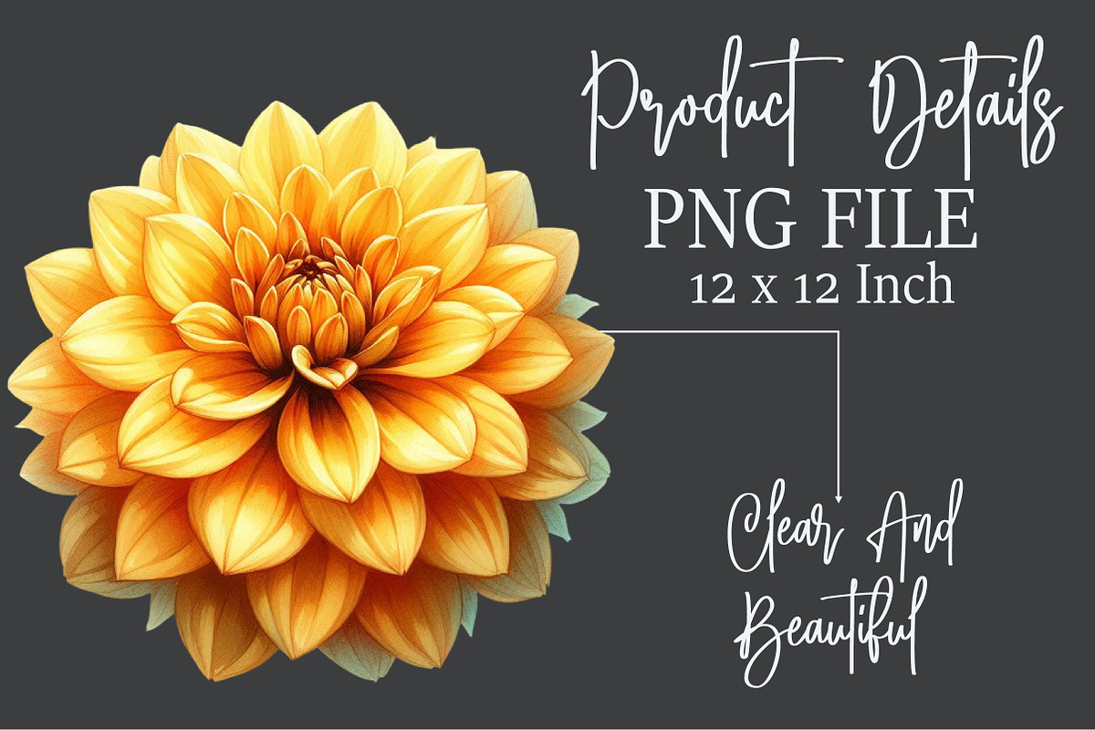 Dahlia Flower Watercolor Cliparts, an Illustration by Rose Art (Photo 7 of 7)