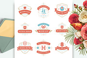 230 Wedding Overlays and Titles, an Invitation Template by Vasya Kobelev (Thumbnail 13 of 47)