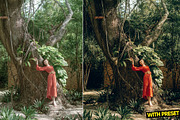Soft Green Presets for Lightroom, a Preset Add-On by Hubzway (Thumbnail 4 of 5)