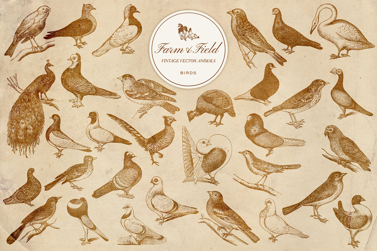 Vintage Farm Animal Vector Graphics, an Object Graphic by Eclectic Anthology (Photo 6 of 9)