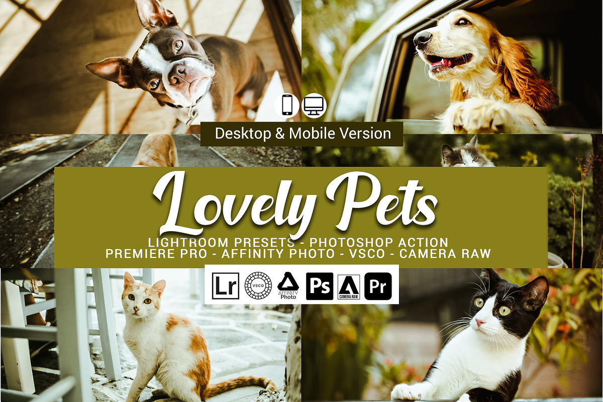 Lovely Pets Lightroom Presets, an Action Add-On by DreamColor (Photo 1 of 10)