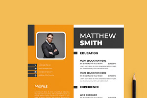 Business Resume Design Template