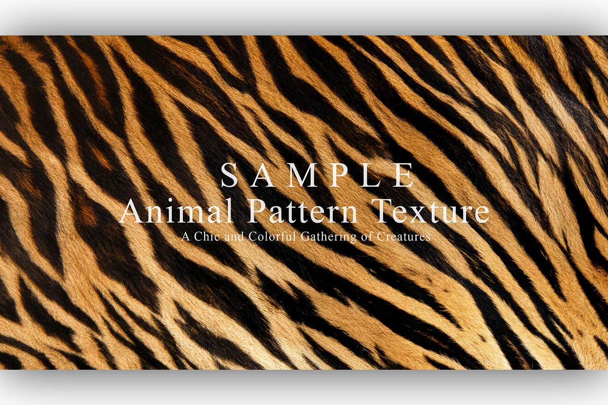 24 Animal Pattern Texture, a Background Graphic by NOMO DESIGN (Photo 3 of 24)