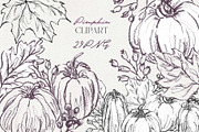 fall pumpkin clipart, an Illustration by JULIA x JULIE's ART (Thumbnail 2 of 20)