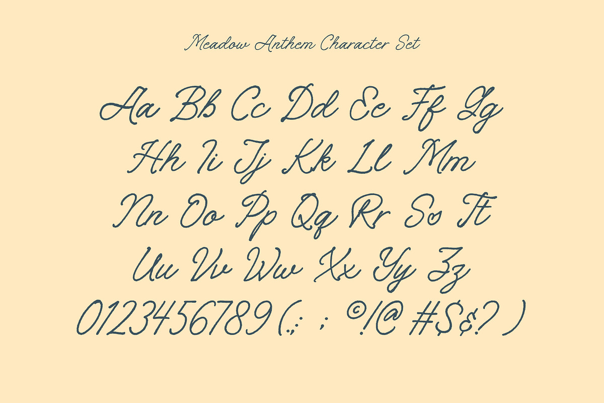 Meadow Anthem, a Handwritten Font by Nathatype (Photo 8 of 11)