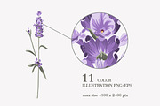34 Lavender branch and bouquet, an Illustration by Kotkoa (Thumbnail 7 of 7)