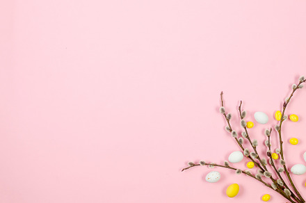 Easter Colorful candy chocolate eggs and brunch willow on pastel, a Holiday Photo by vimart