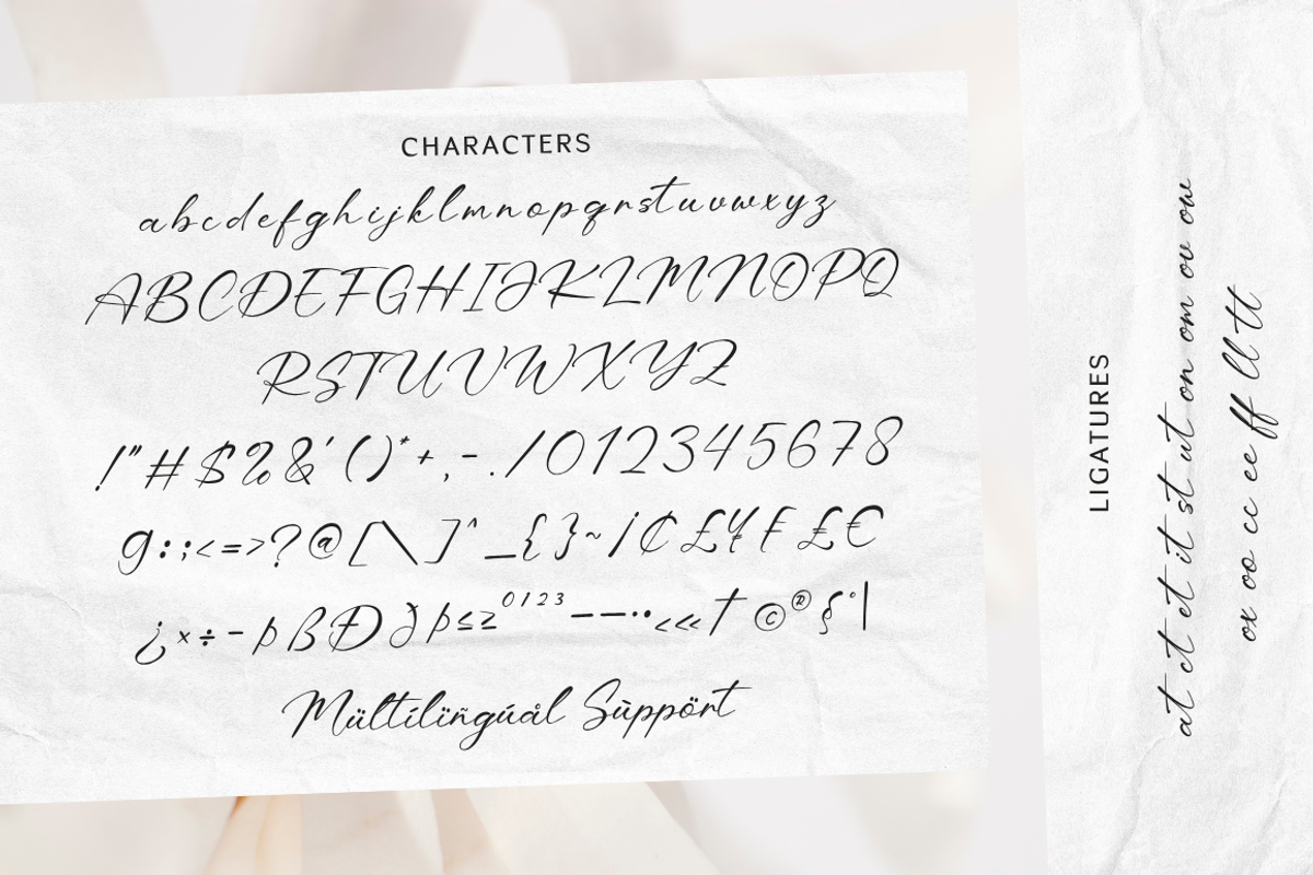 Peony Whisper - Signature Font, a Script Font by Sronstudio (Photo 10 of 10)