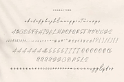 Collingethon Chic Handwritten Script, a Script Font by Namara Creative Studio (Thumbnail 6 of 12)