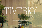 Timesky, a Serif Font by Nathatype (Thumbnail 1 of 11)