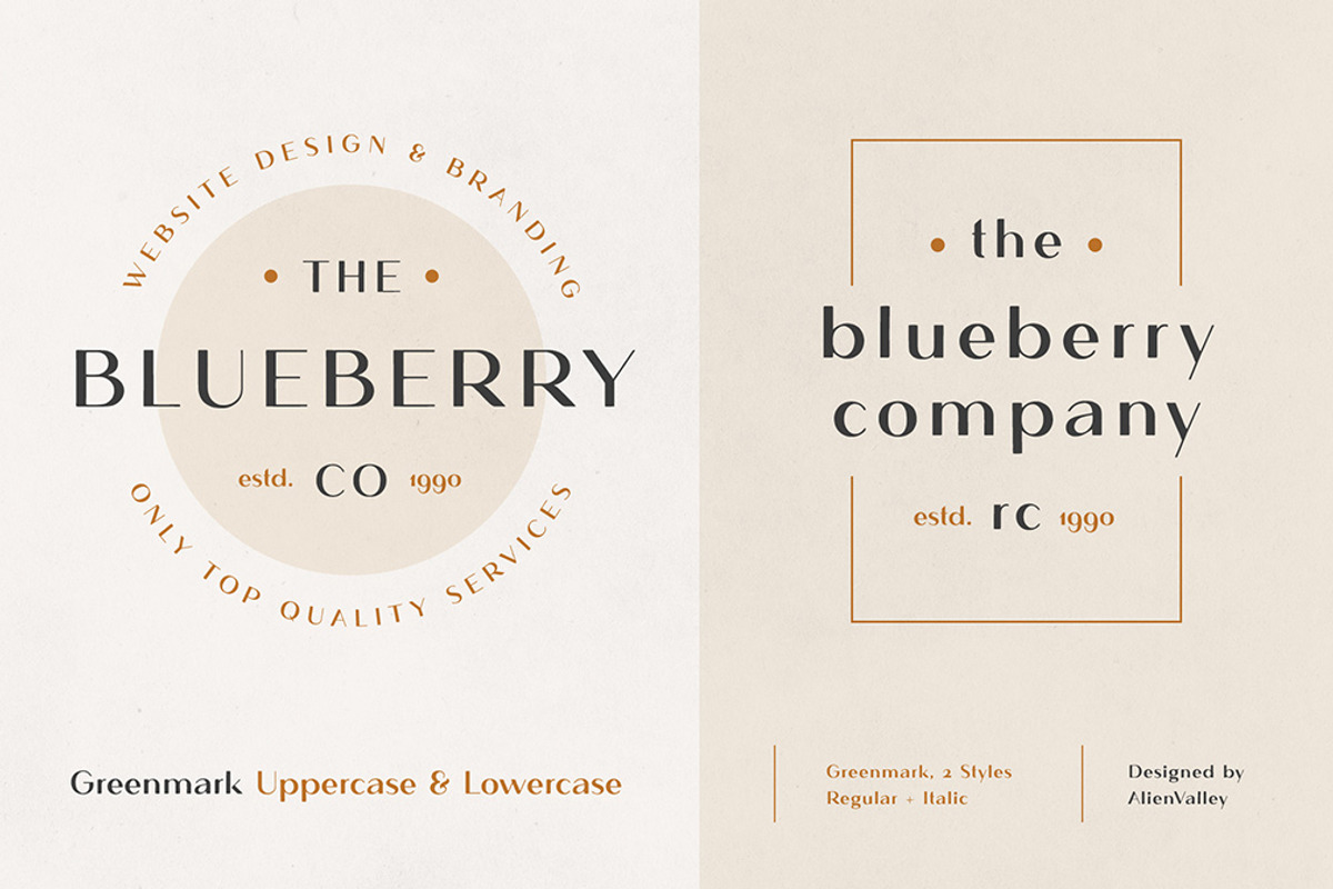 The Versatile Font Bundle, a Sans Serif Font by AlienValley (Photo 134 of 141)