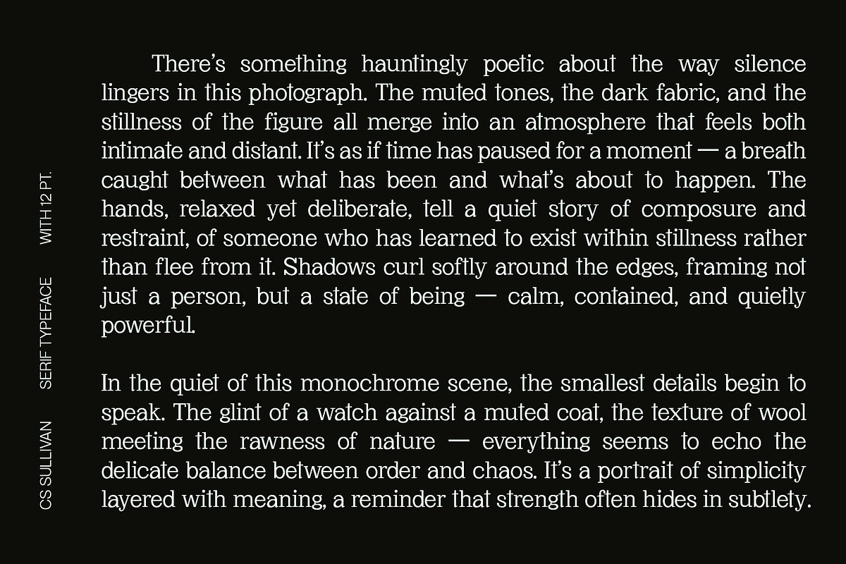 CS Sullivan – Serif Font, a Serif Font by Craft Supply Co. (Photo 5 of 8)