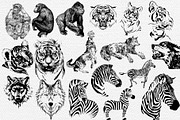 50 wild animals vector part 3, an Animal Illustration by AnastasiyaOleynik (Thumbnail 7 of 9)