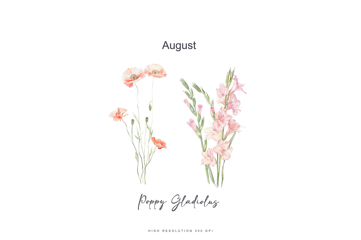 watercolor birth flowers collection, a Decorative Illustration by Patishop Art (Photo 6 of 9)