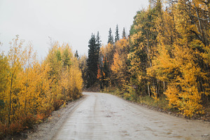 Autumn containing fall, autumn, and foliage