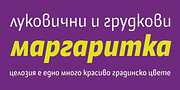 Alamia, a Sans Serif Font by Ani Dimitrova (Thumbnail 12 of 12)